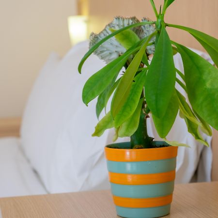 Thalassi Hotel Retimno Zewnętrze zdjęcie